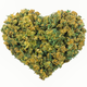 iStock